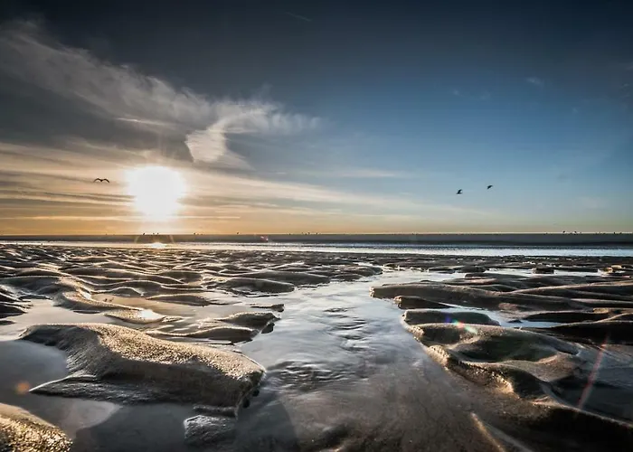 Appartement L'appart